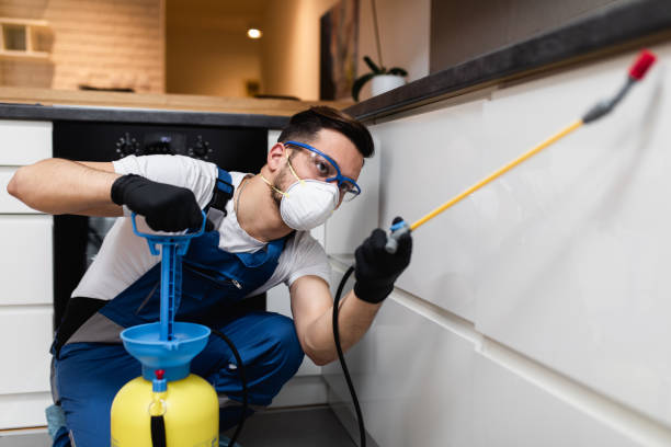 Trusted Monon, IN Pest Control Experts