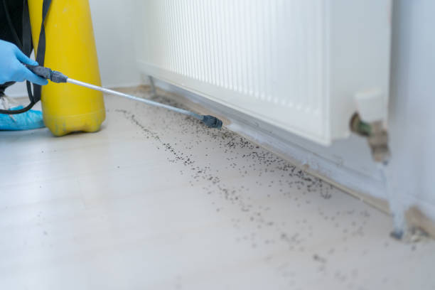 Best Mosquito Control Services  in Monon, IN