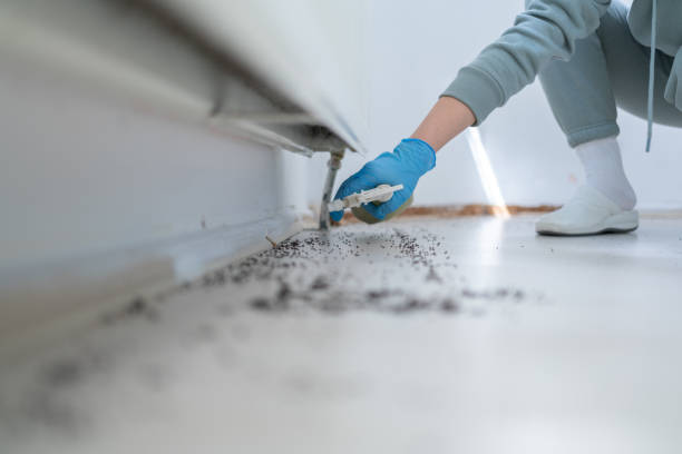 Best Pest Control for Homes  in Monon, IN