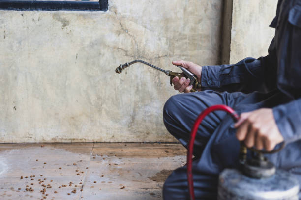 Best Pest Removal Services  in Monon, IN